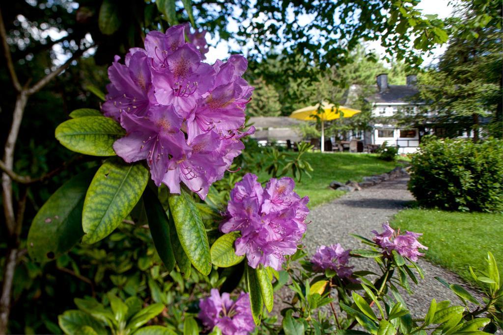 Romantik Hotel Stryckhaus Willingen  Esterno foto